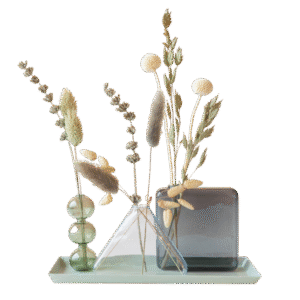 Dried Beauty - dried flowers with vases