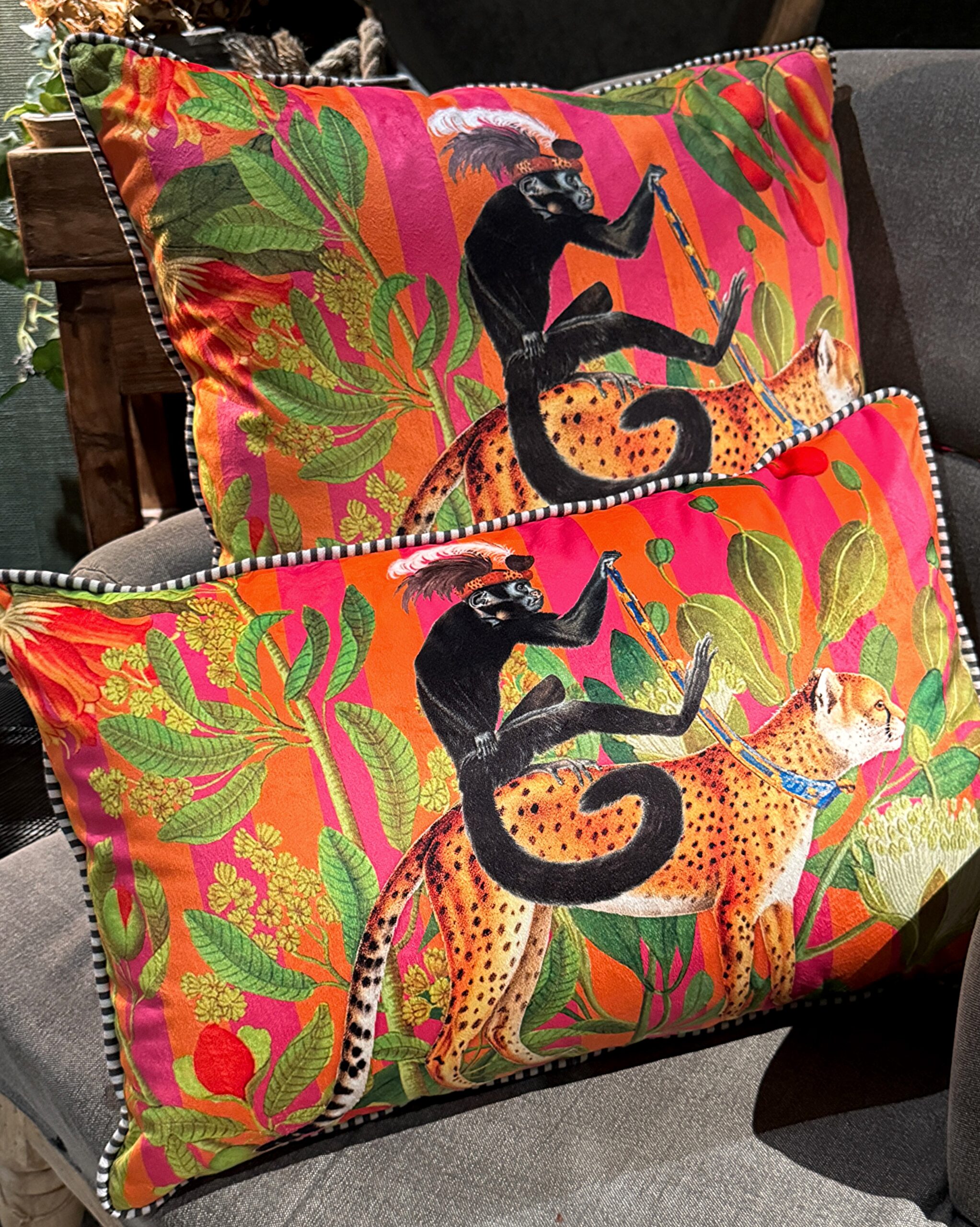Hayward & Haines Designer Scatter Cushion - Cheetah Chariot