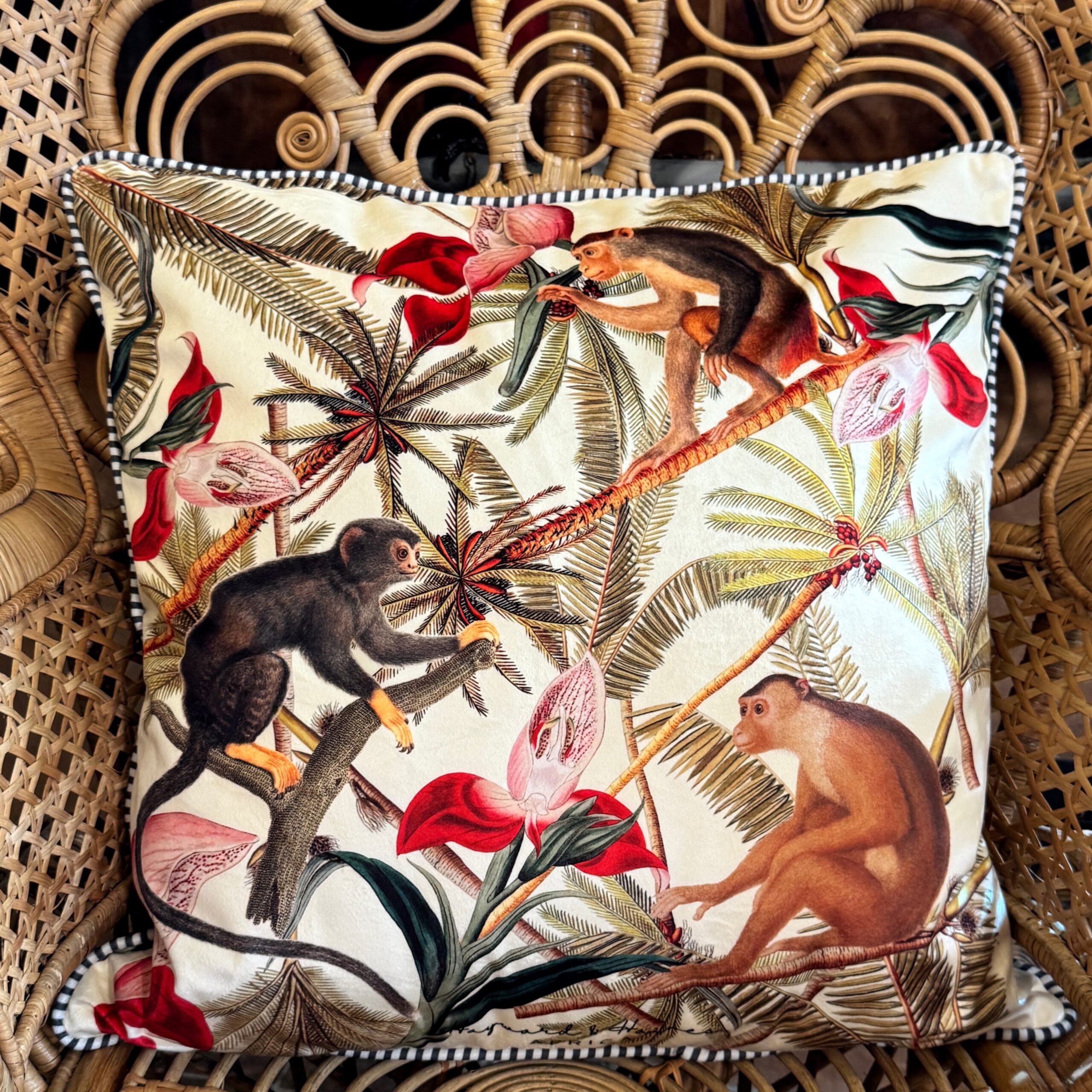 Hayward & Haines Designer Scatter Cushion - Monkeys Playing In The Palms - Image 2